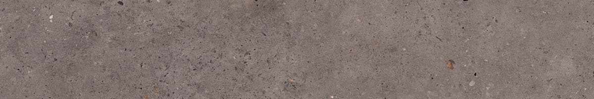 Dlažba Pastorelli Biophilic dark grey 20x120 cm mat P009527