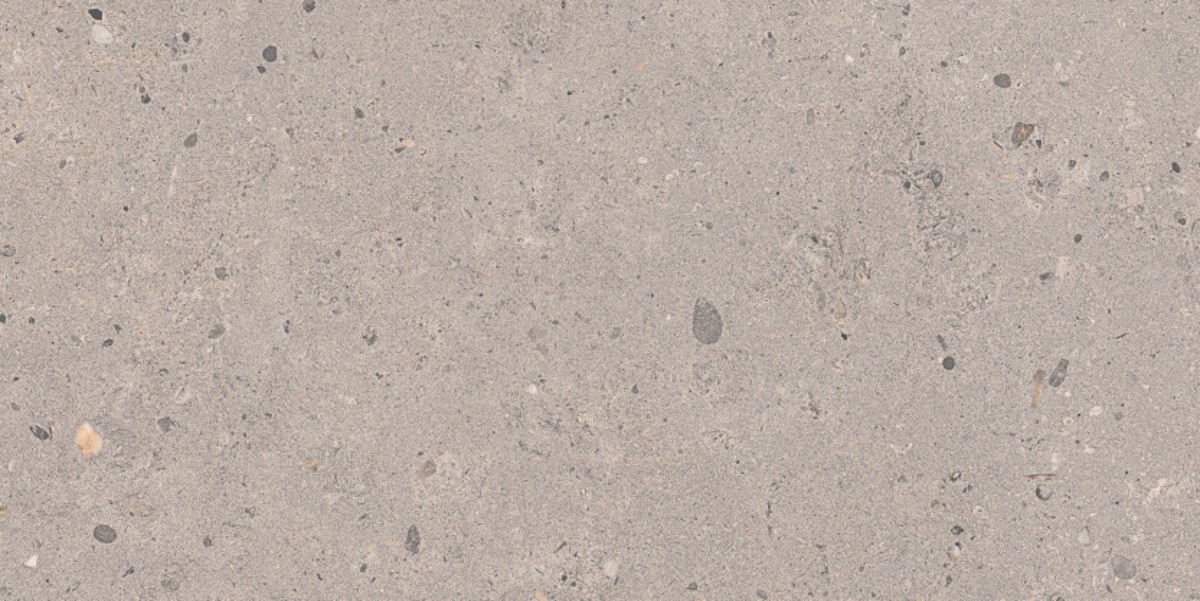 Dlažba Pastorelli Biophilic grey 30x60 cm mat P009500