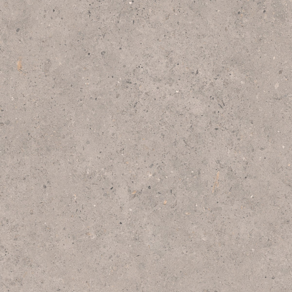 Dlažba Pastorelli Biophilic grey 60x60 cm mat P009459